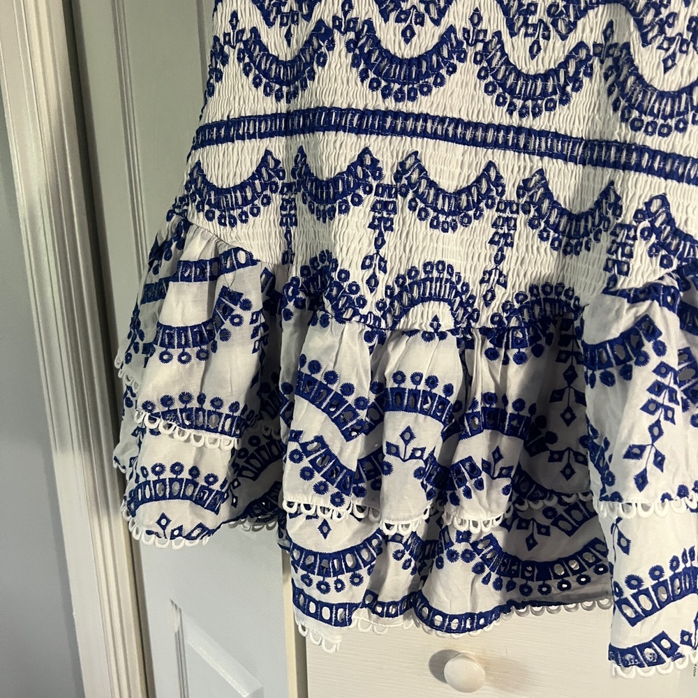 Embroidered Ruffled Sleeveless Dress - Picture 10 of 16